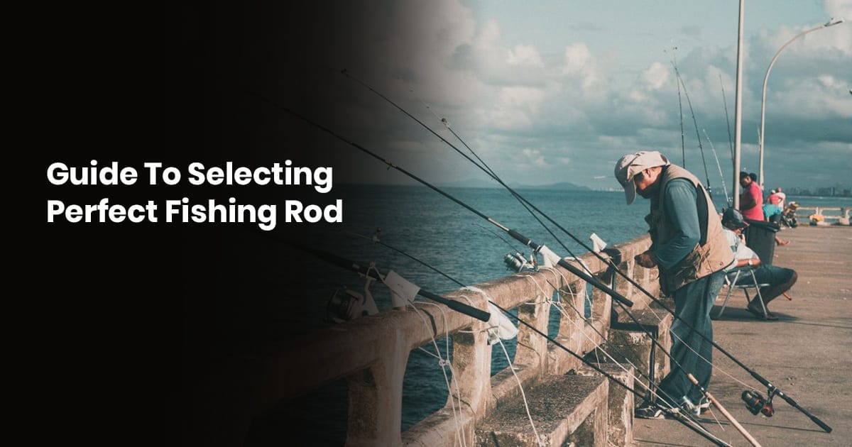 Buying A Fishing Rod? Read This Guide For All You Need To Know