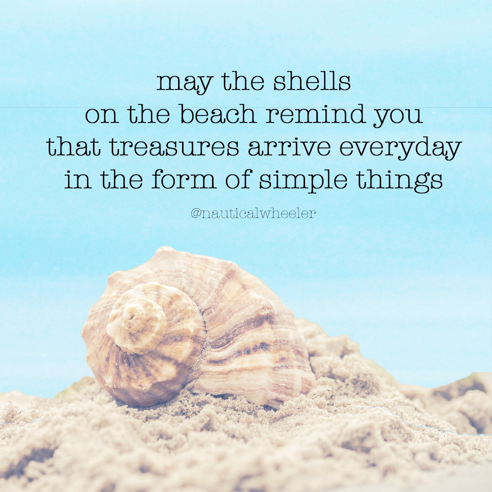 Quotes About Seashells