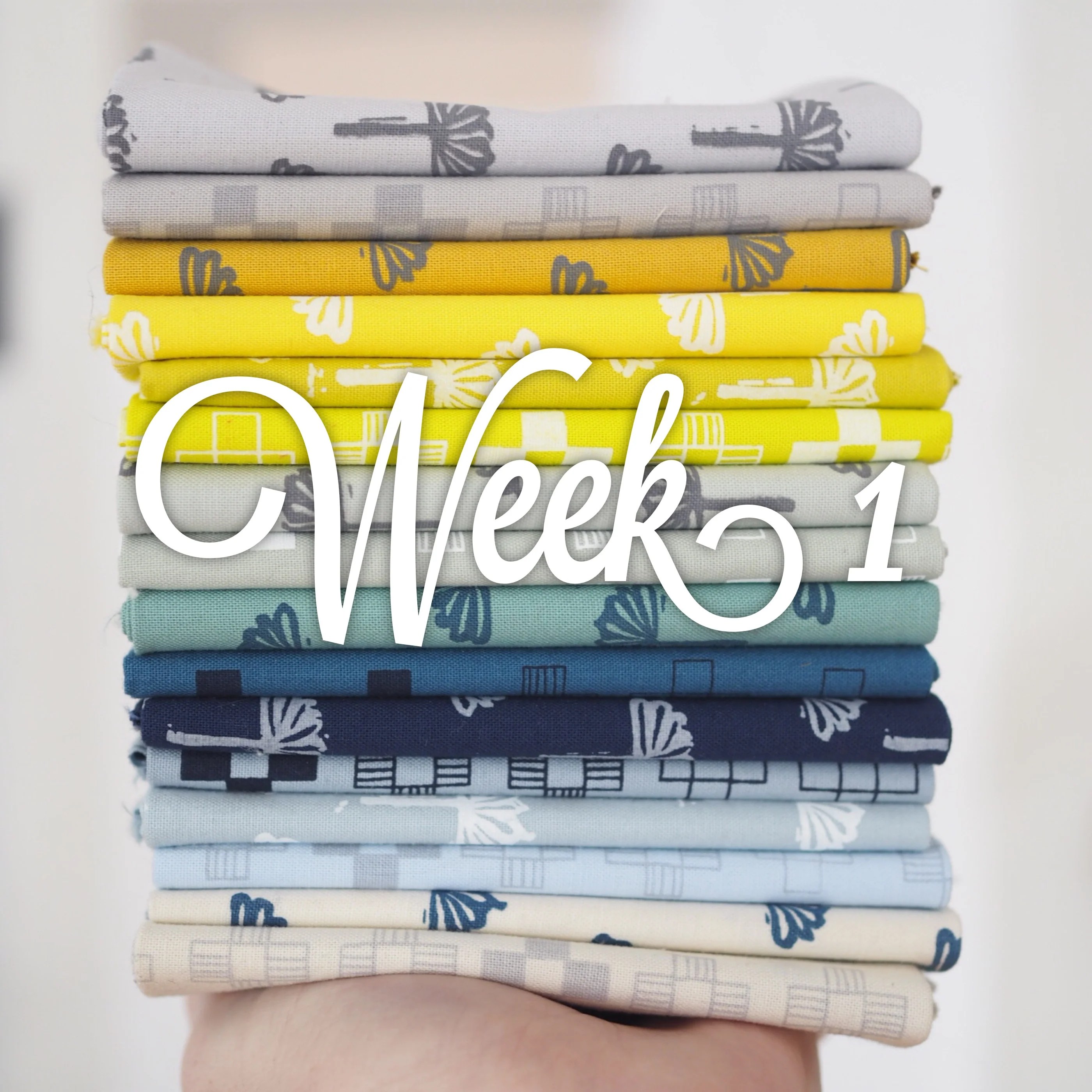 Sienna Burst Quilt Along Week One Then Came June