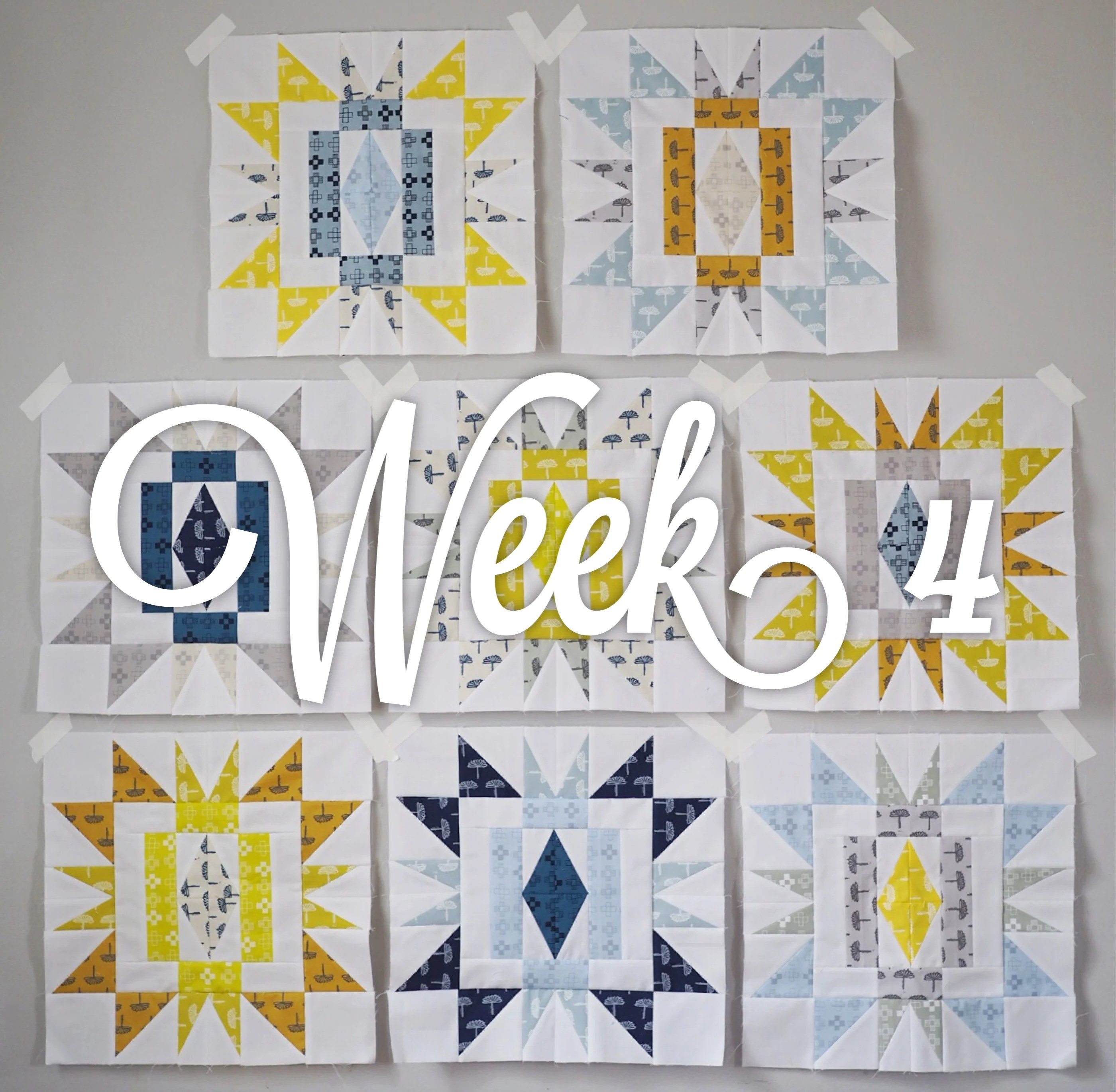 Sienna Burst Quilt Along Week Four Then Came June