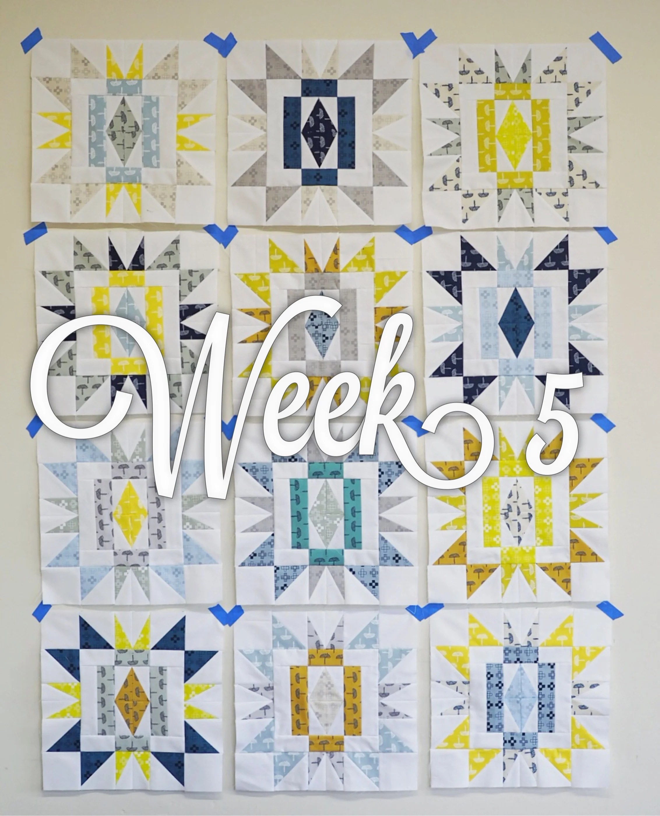Sienna Burst Quilt Along Week 5 Then Came June