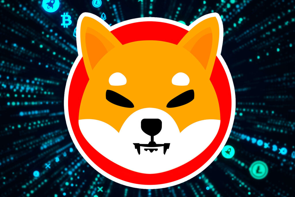Shiba Inu coin 5 things to know about the new