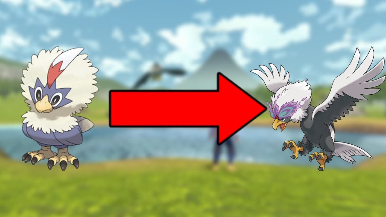 Pokemon Legends Arceus How to Evolve Rufflet The Nerd Stash