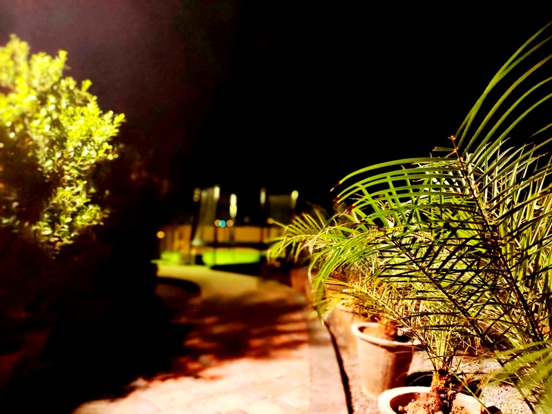 Gallery The Nest Apartments