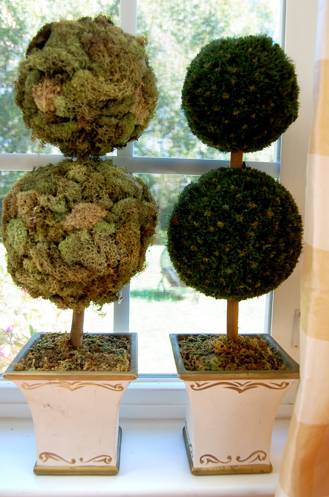 Moss Topiary