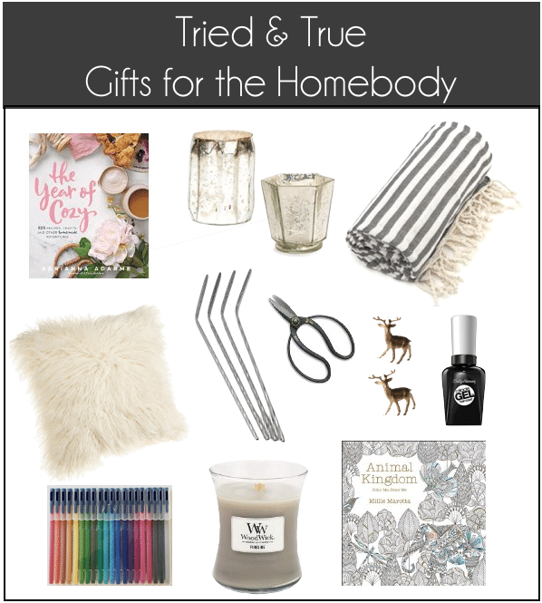 Tried & True Gift Guide for Homebodies, Manly Men & Teenage Boys