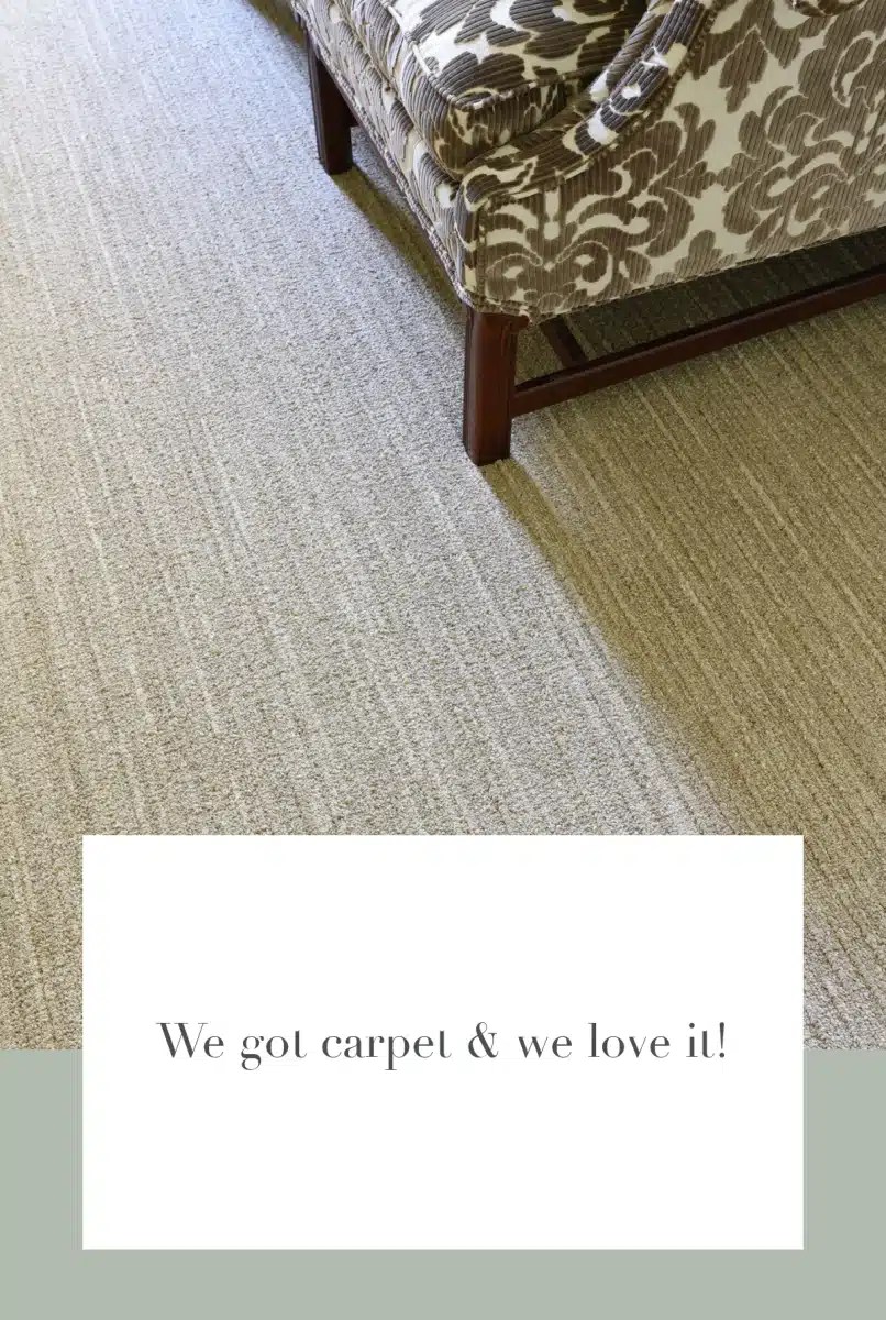 Cozy Carpet Makeover Nesting Place