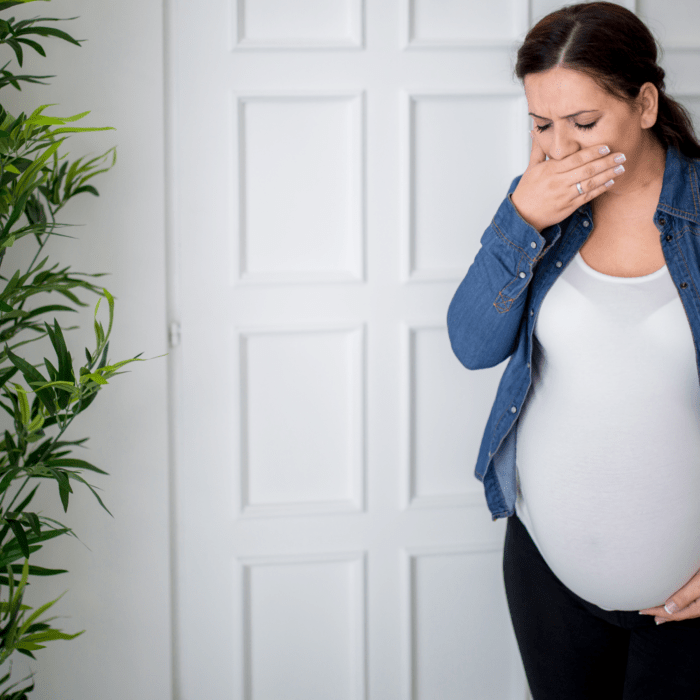 Remedies for Morning Sickness and Nausea during Pregnancy The Nesting