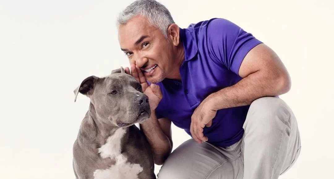 What is Cesar Millan doing now? Is he married?