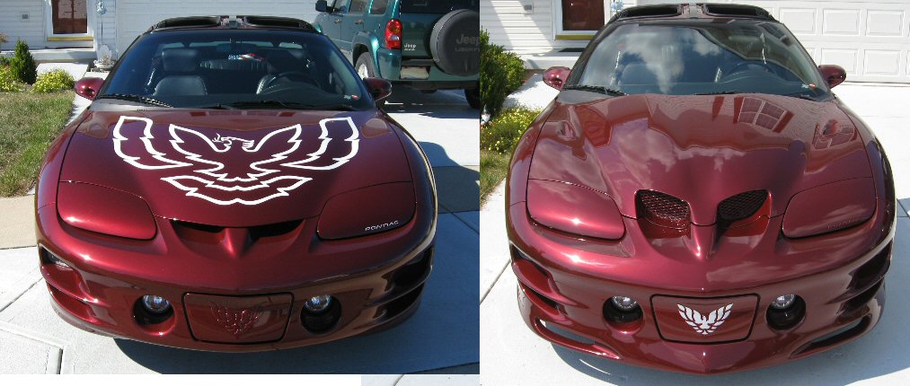 Superhawk hood and Molded Wings West Front Lip Painted LS1TECH