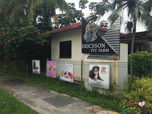 Ericsson Pet Farm Singapore