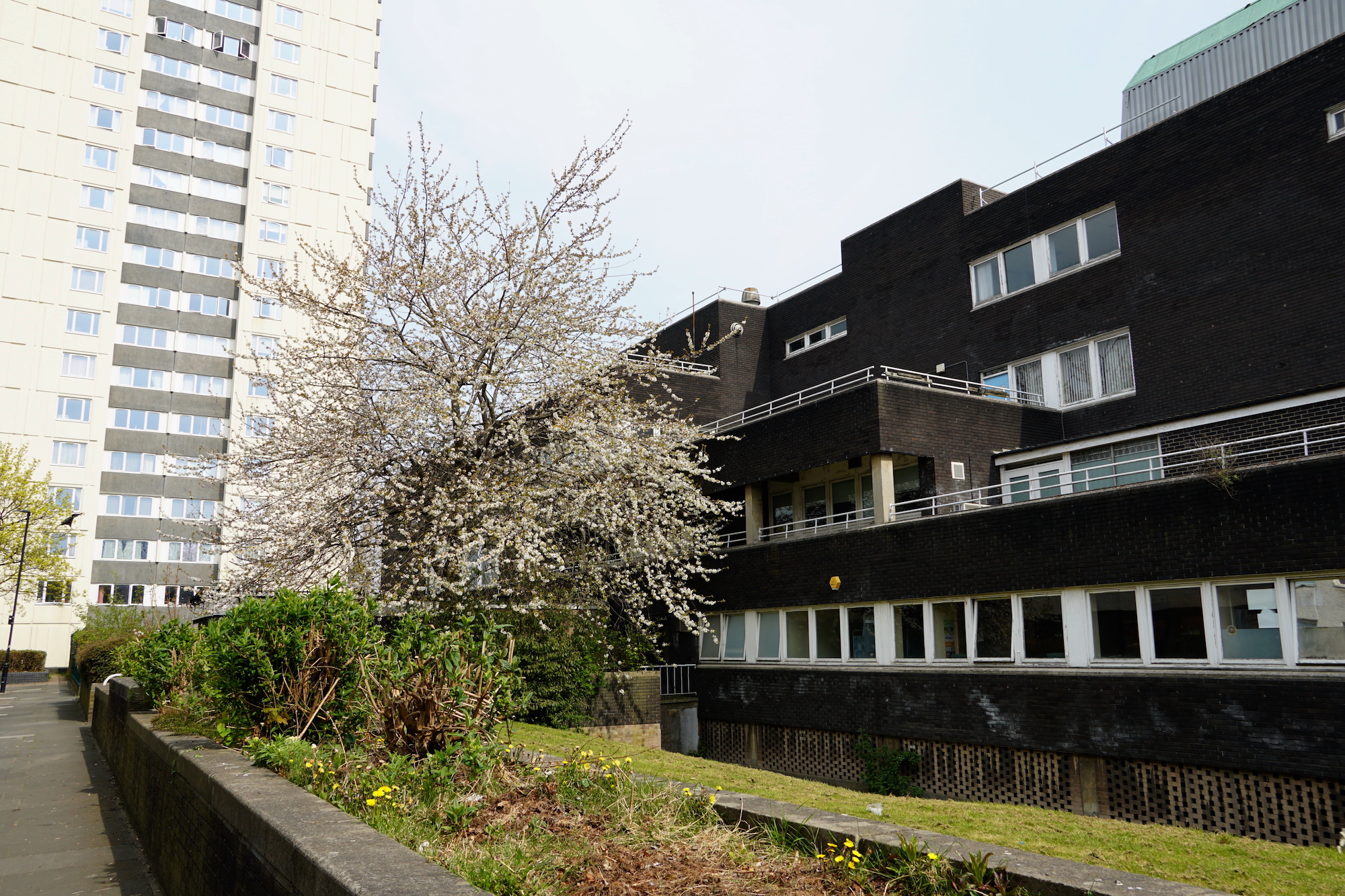 The NewBridge Project are moving to the Shieldfield Centre! The