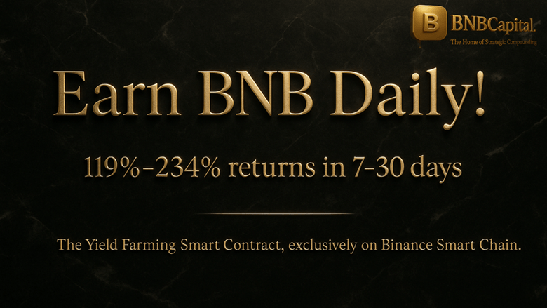 Tracking BNBCapital’s Organic Growth in the Competitive BSC DeFi Landscape