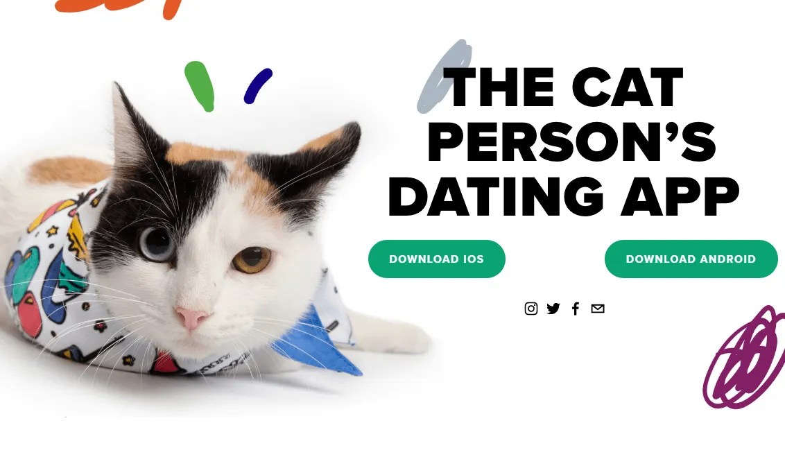 Tabby Dates, The New Dating App For Cat Lovers Review The News God