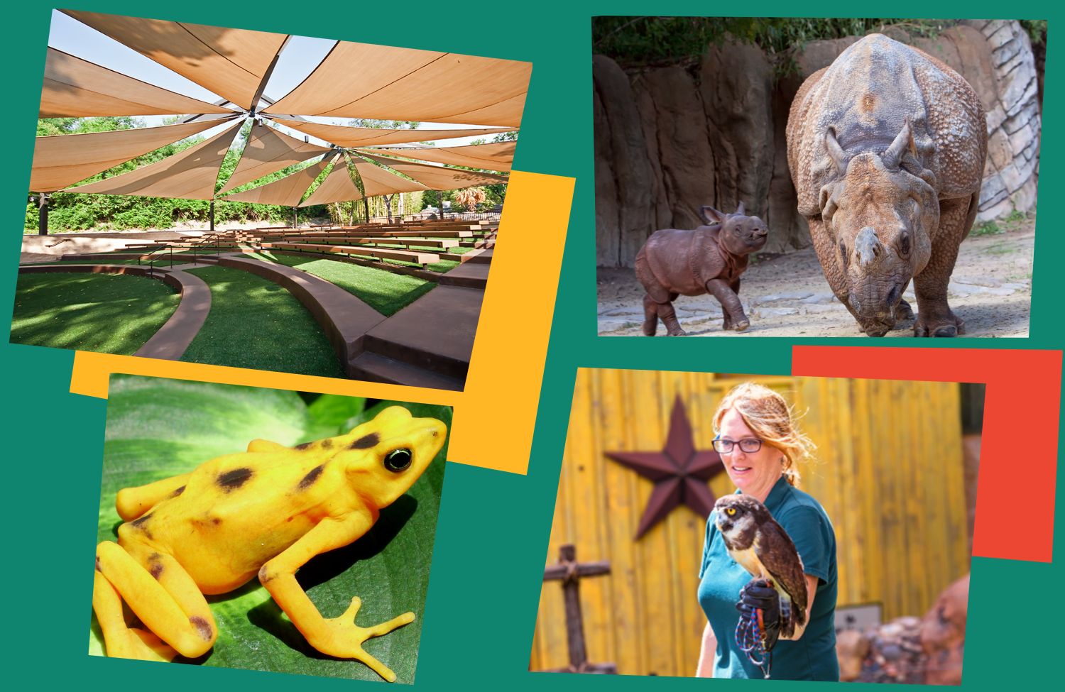 A Generation of Conservation The New Fort Worth Zoo