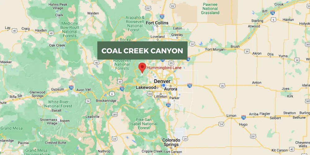 Moose Attack Incident Under Investigation in Coal Creek Canyon The