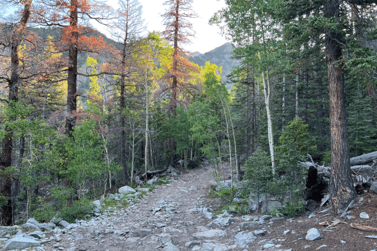Lake Como Road Ultimate Hiking Guide The Next Summit A Mountain Blog