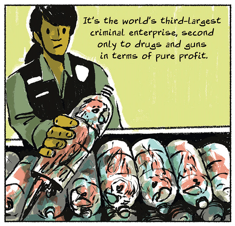 Stealing Rainbows The Nib