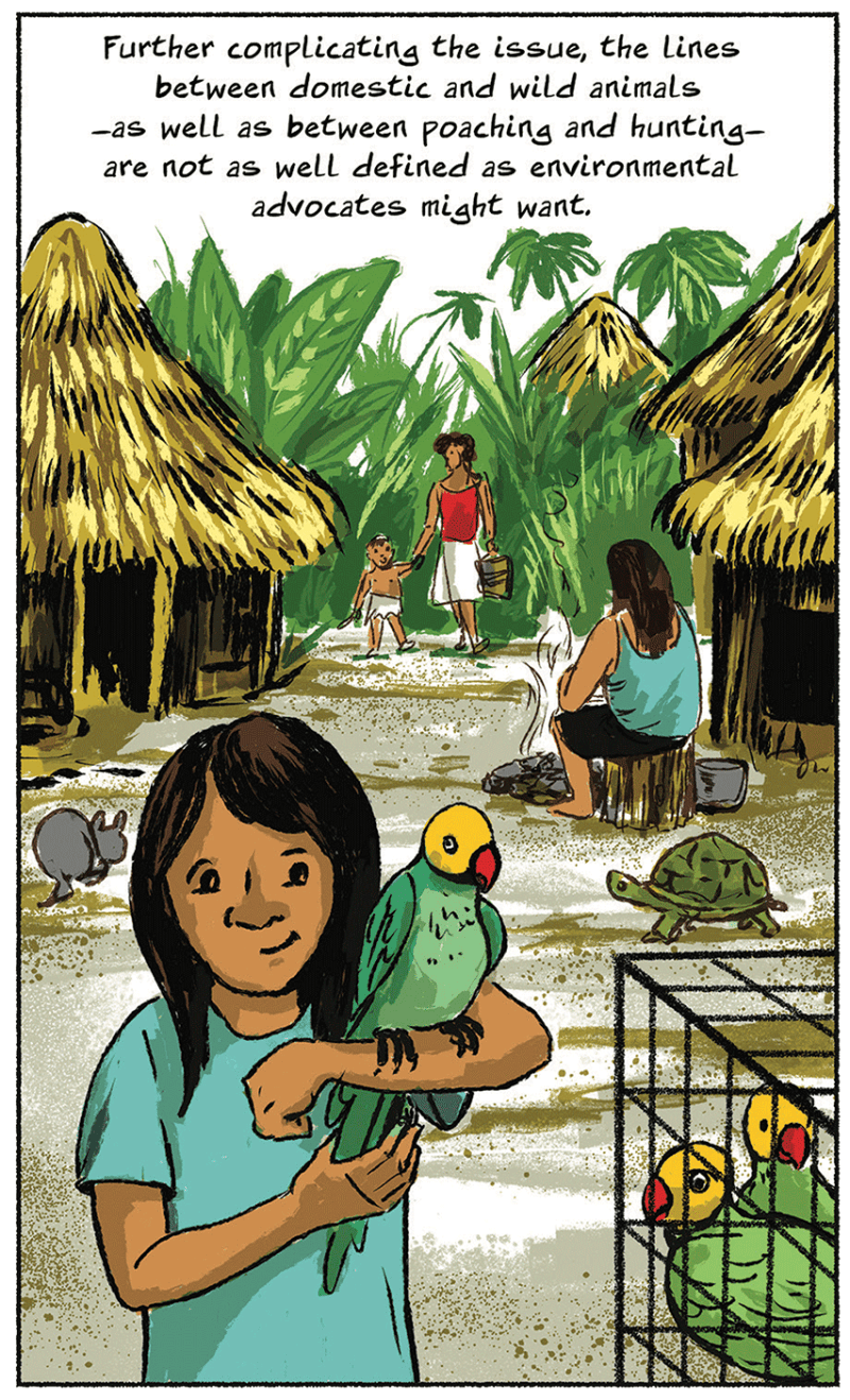 Stealing Rainbows The Nib