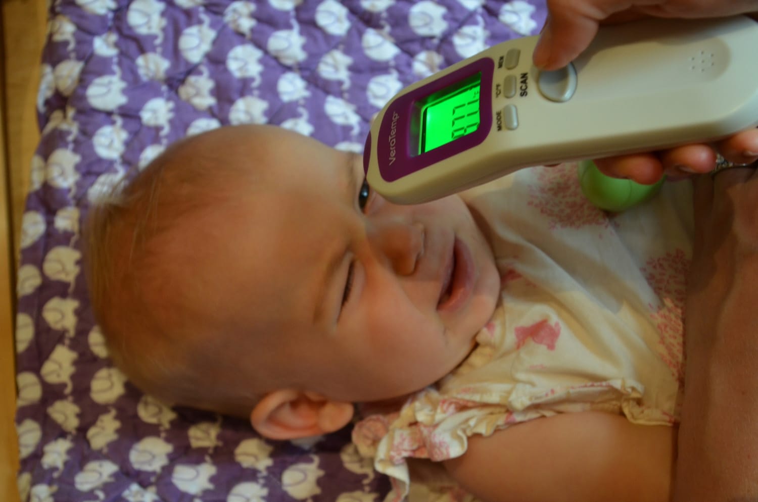 Thermtest The Nightlight