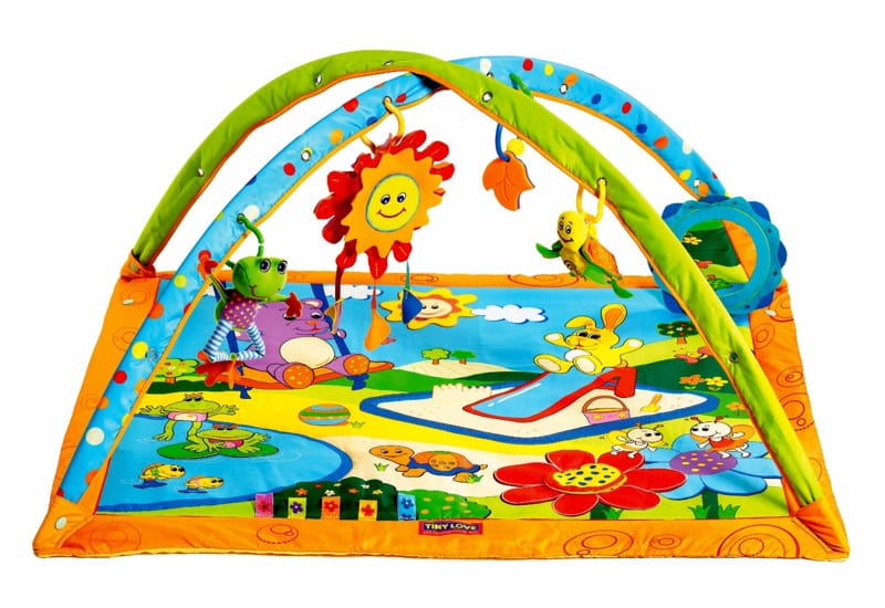 The Best Baby Playmat Tiny Love Gymini Sunny Day Activity Gym