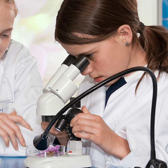 Microscopes 4 Schools handson microscopy for children the Node