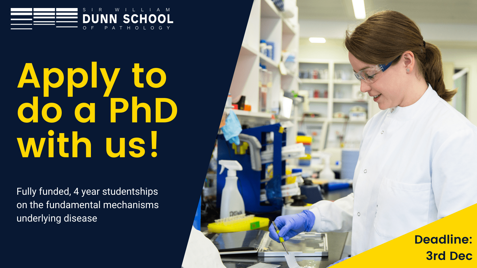 Fully funded PhD Studentships Molecular Cell Biology in Health and