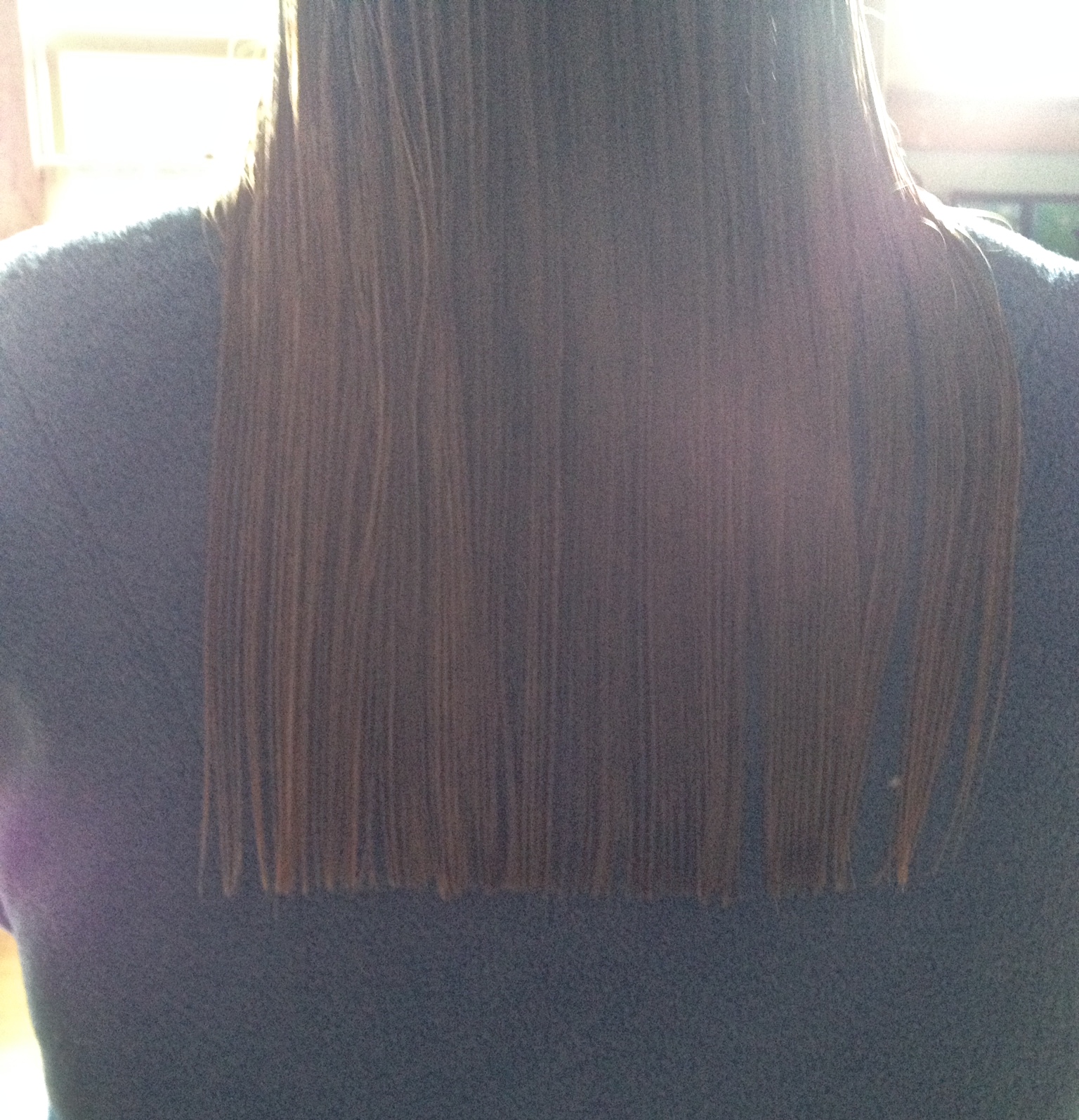 The Frugal Practice of Home Haircuts (1536 x 1595 Pixel)