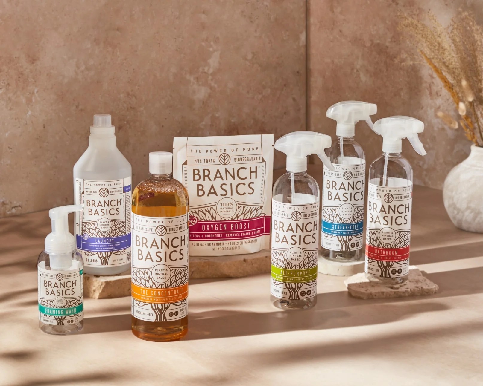 Branch Basics Review Should You Be Making The Switch (2023