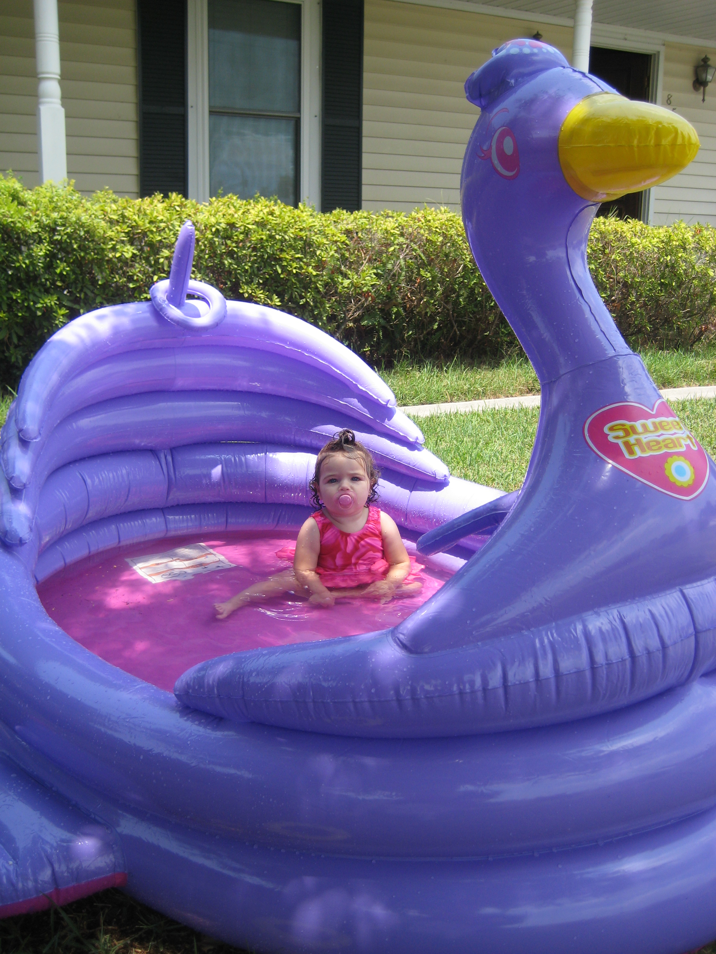 Kiddie Pool from Backyard Ocean (Gift 3) The Experimental Mommy