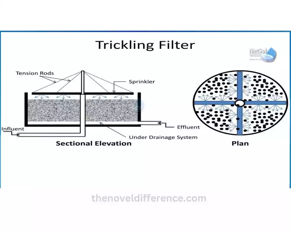 Activated Sludge and Trickling FilterThe best 9 difference