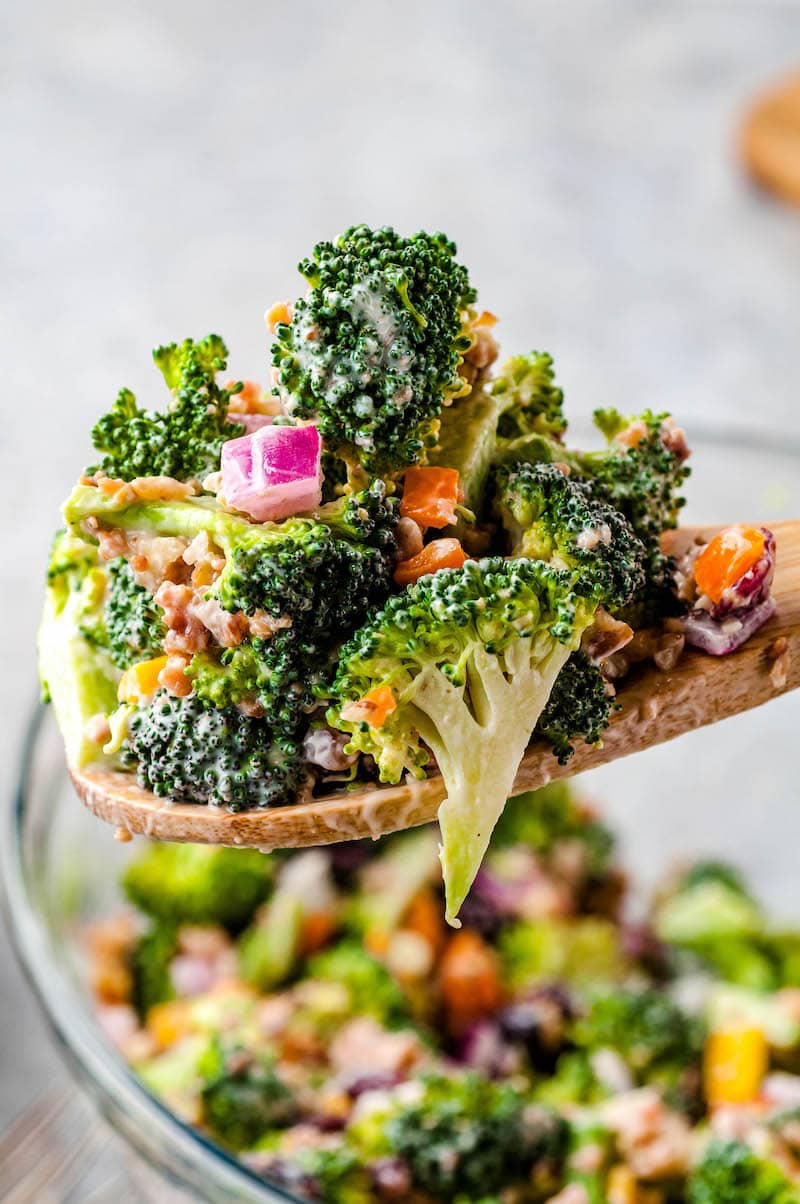 The Best Broccoli Salad with Bacon! The Novice Chef