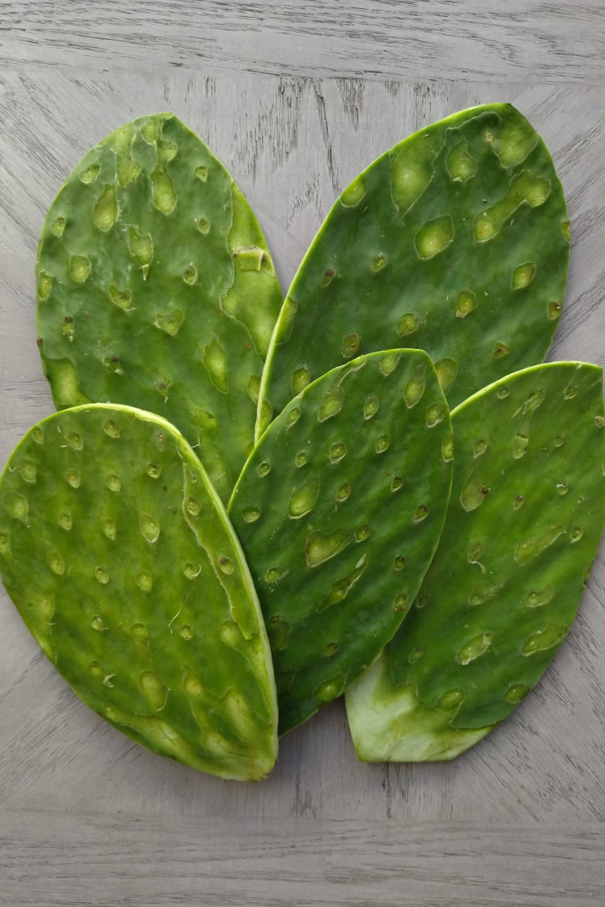 Nopales Everything You Need to Know The Novice Chef