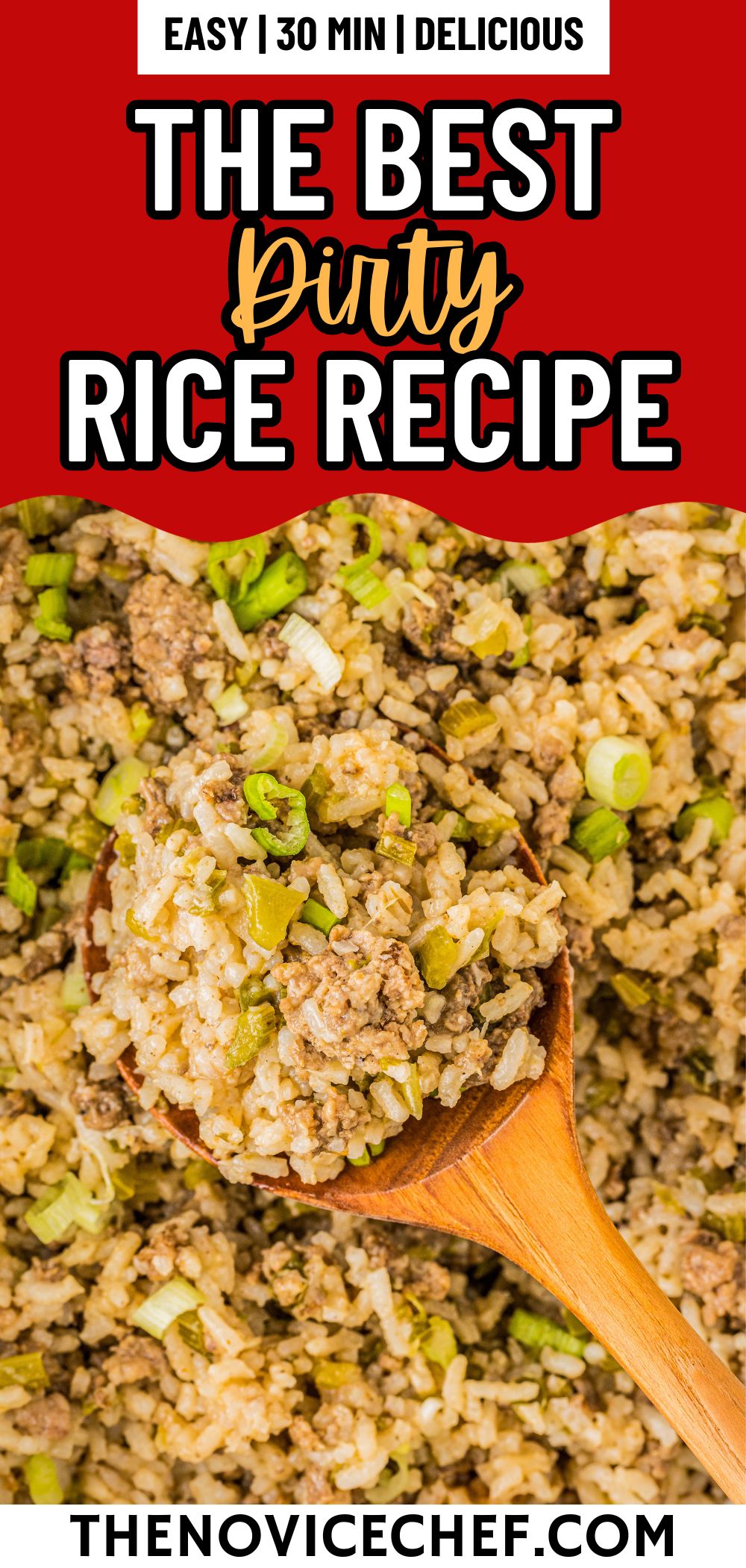 OnePot Dirty Rice Recipe in 30 Mins! The Novice Chef