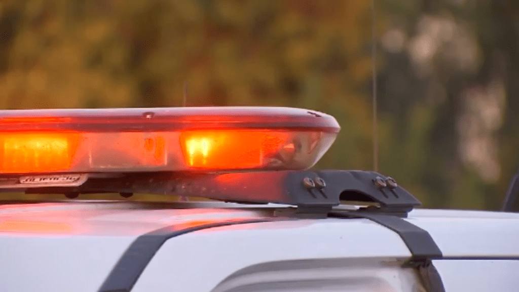 1 dead, 1 injured after car hits tree in Lauderhill The Nunez Law Firm