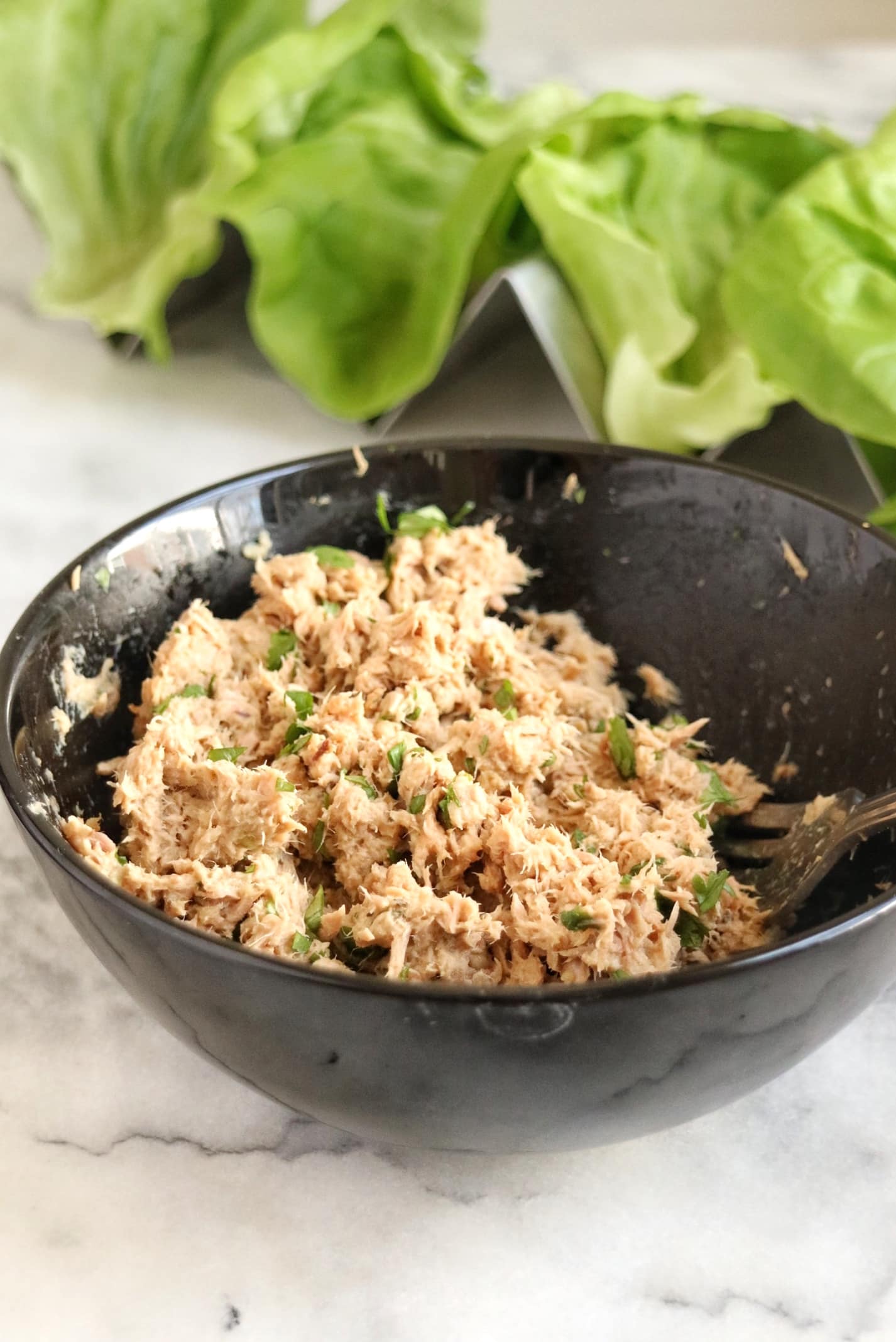 Zesty Tuna Lettuce Wraps The Nutrition Adventure