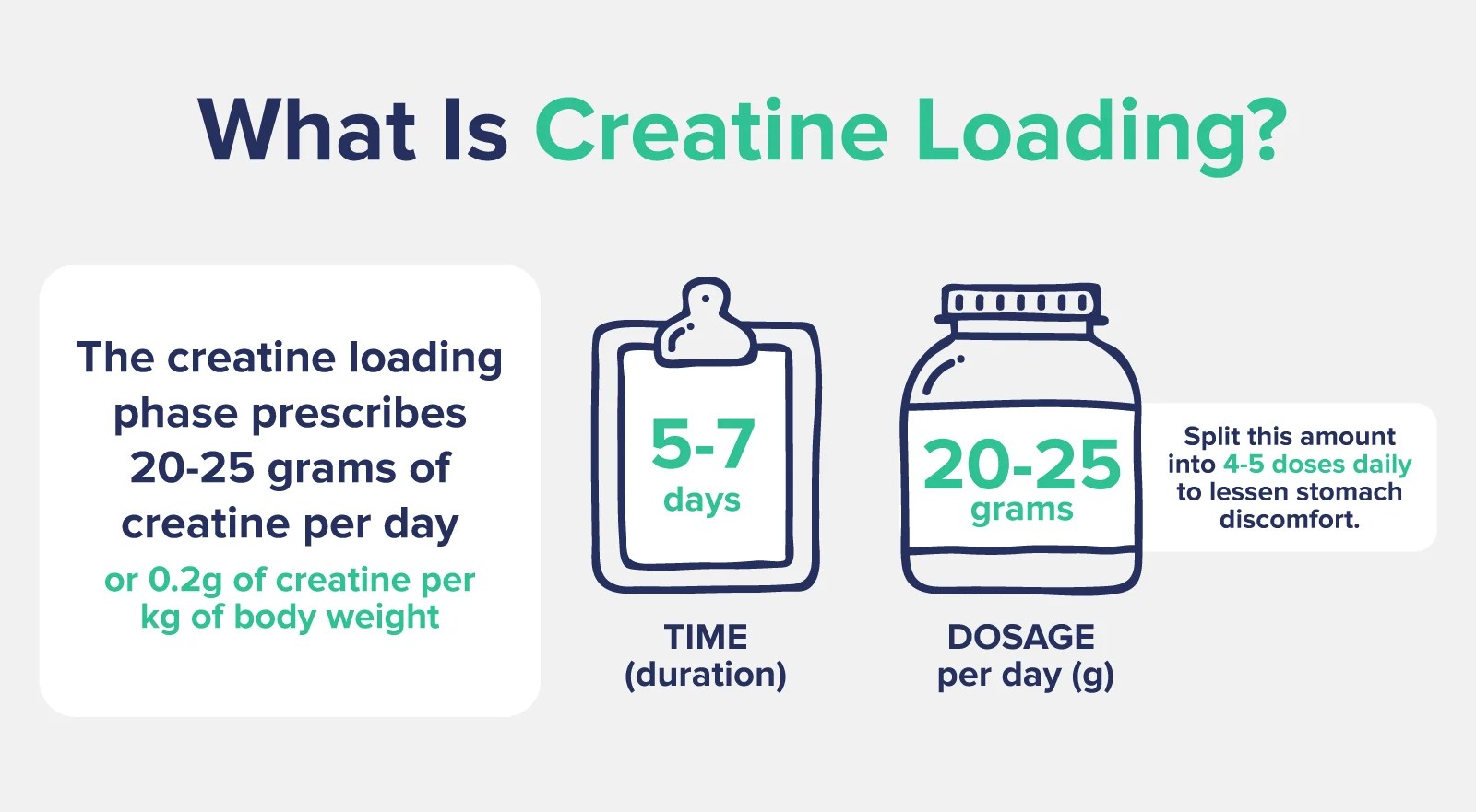 How to Load Creatine The Nutrition Insider