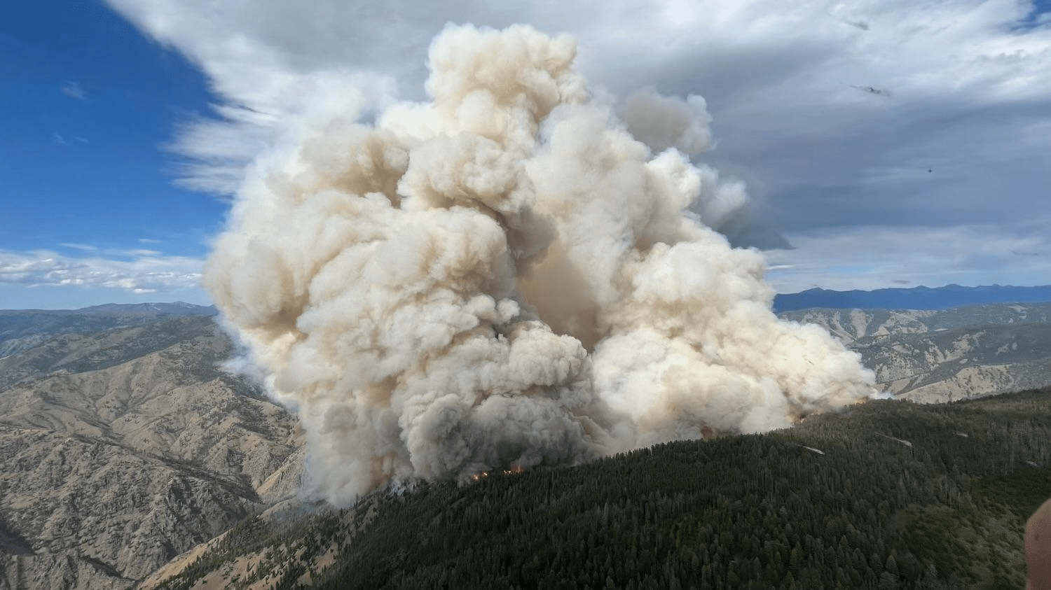 Update 4 Moose Fire Salmon, Idaho NW Fire Blog