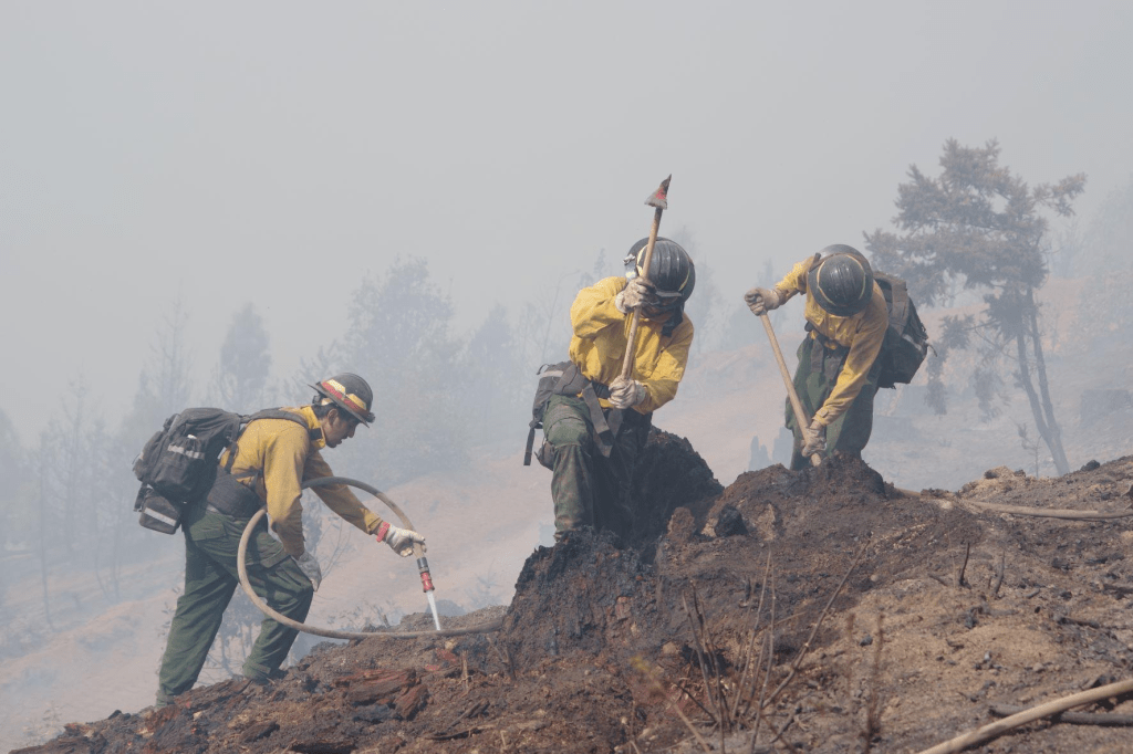 Rum Creek Fire Galice, Oregon NW Fire Blog