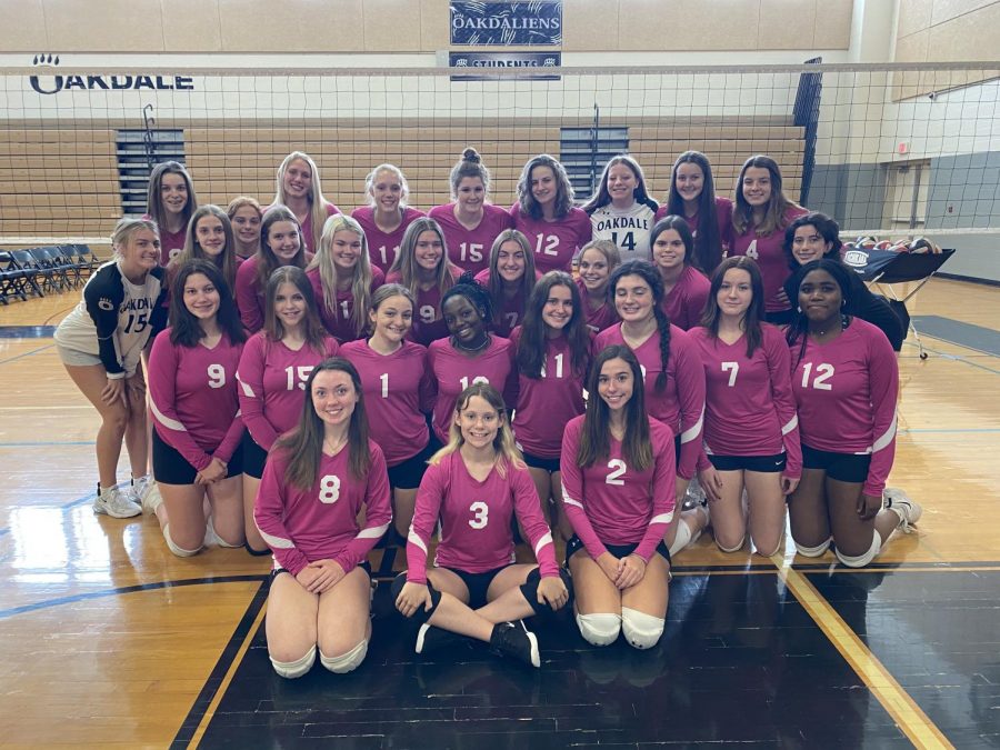 Dig Pink Volleyball Fundraiser The Oakdale Post