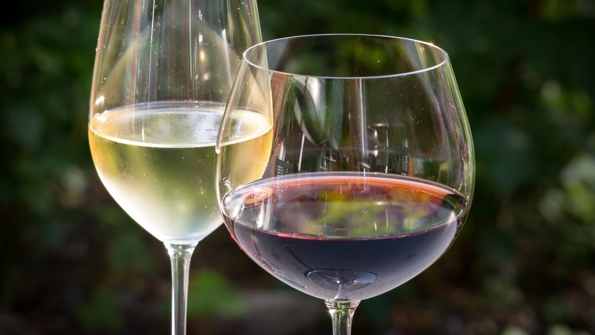 Vino blanco o tinto, ¿cuál es el mejor si queremos adelgazar (o no
