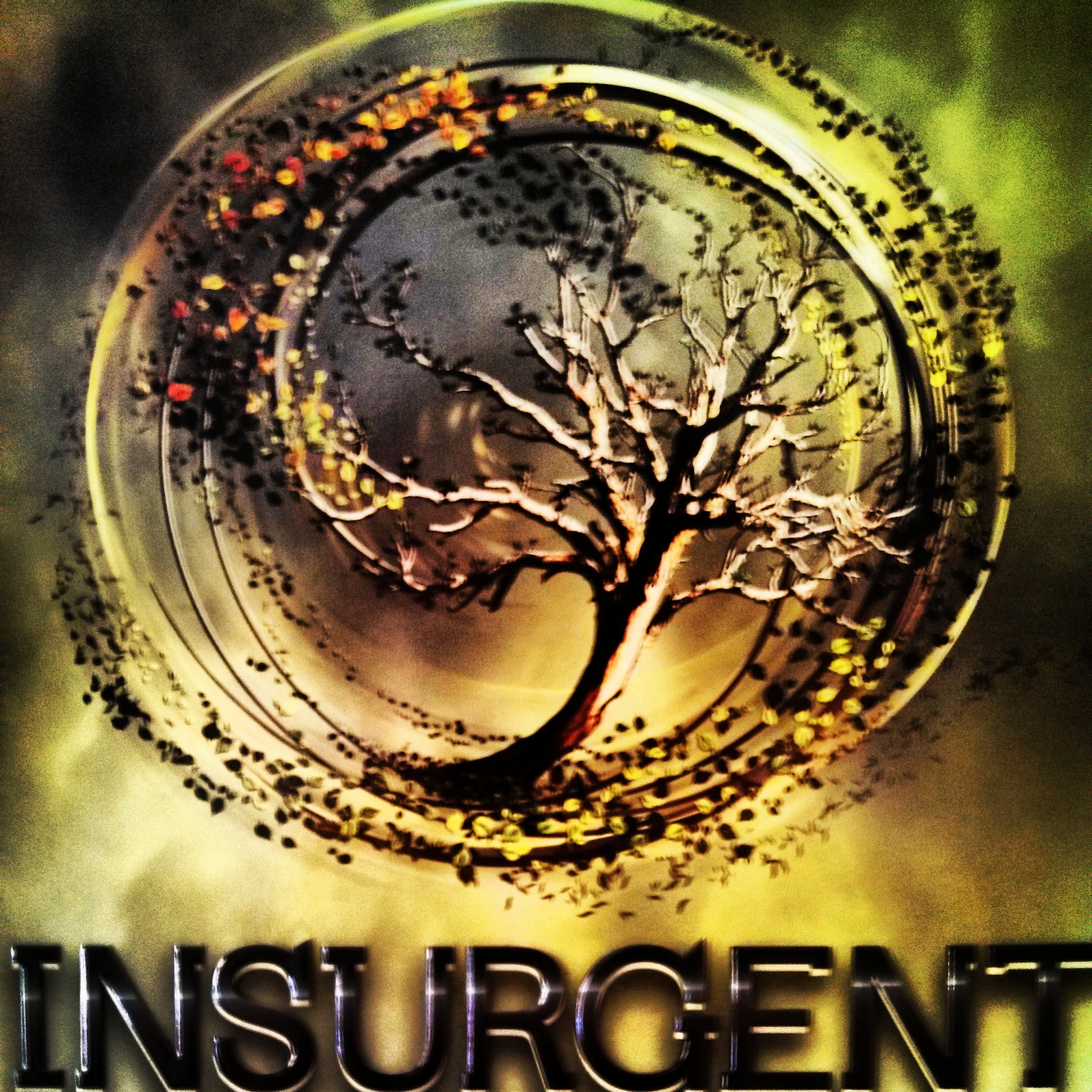 Book Review Insurgent by Veronica Roth The Obsessed Reader