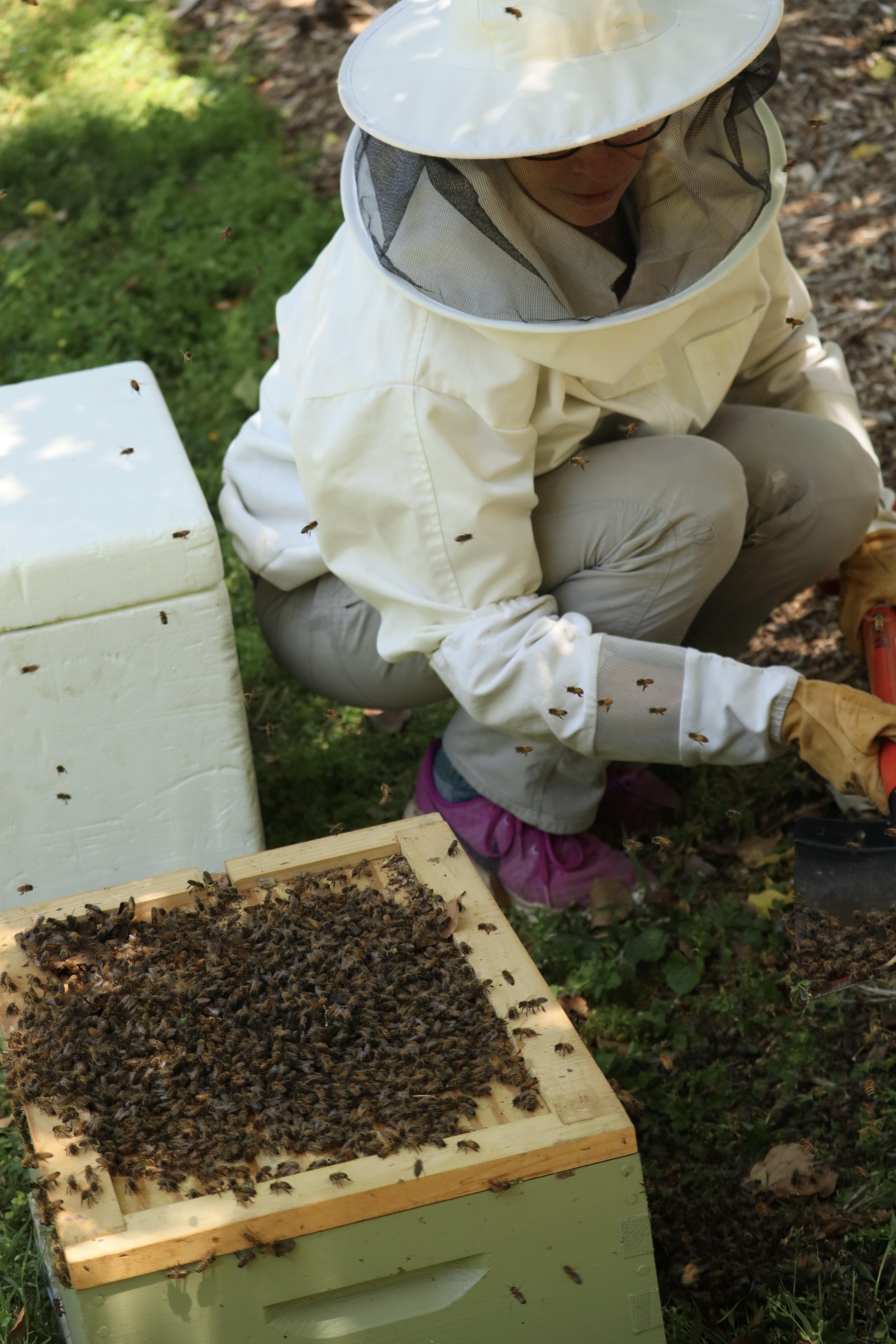 Introduction to Beekeeping Class Orange County Beekeepers Association