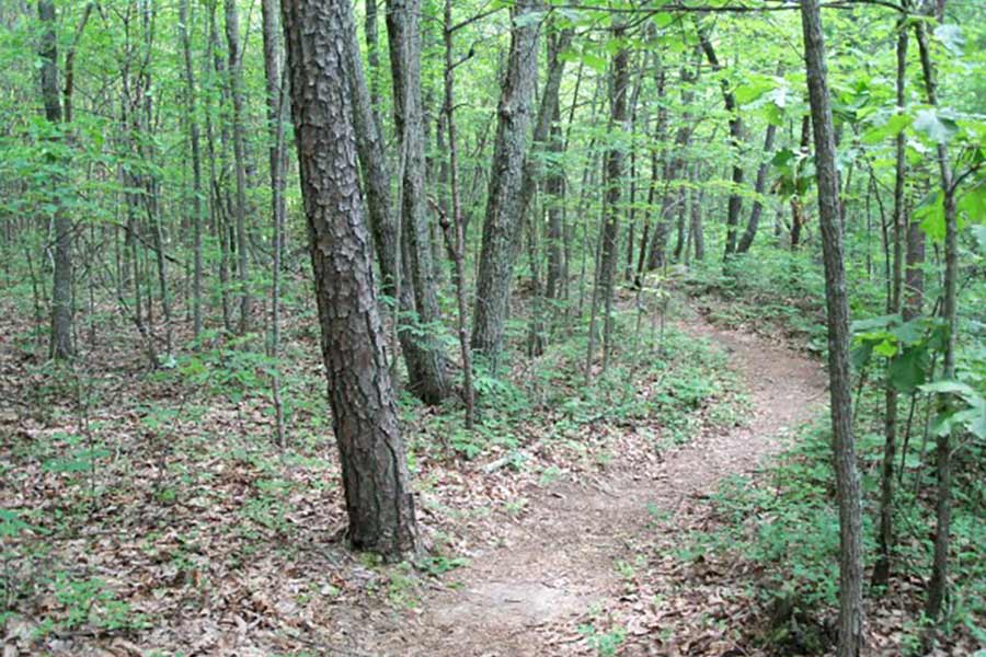 Best Outdoor Activities in Tennessee are Near the Ocoee River