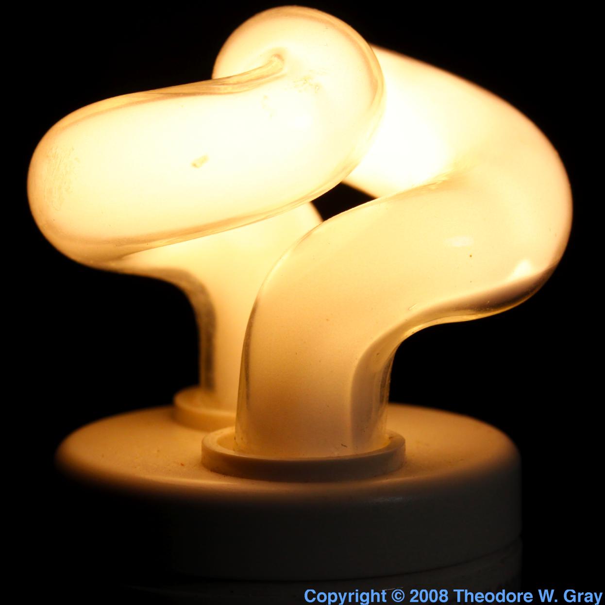 Untitled — Cancer Tumors On Dogs Snout