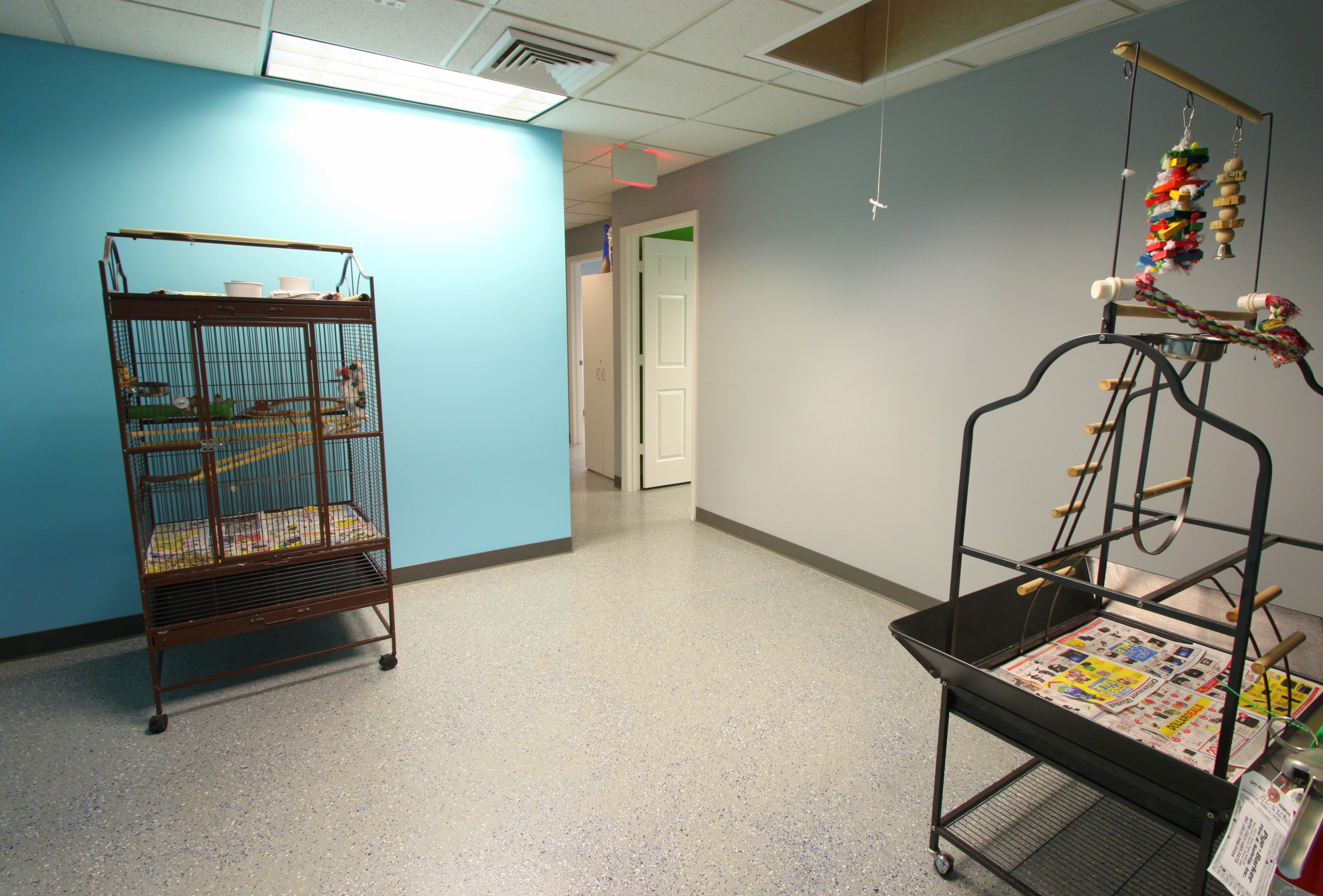 Virtual Tour The Ohana Pet Resort