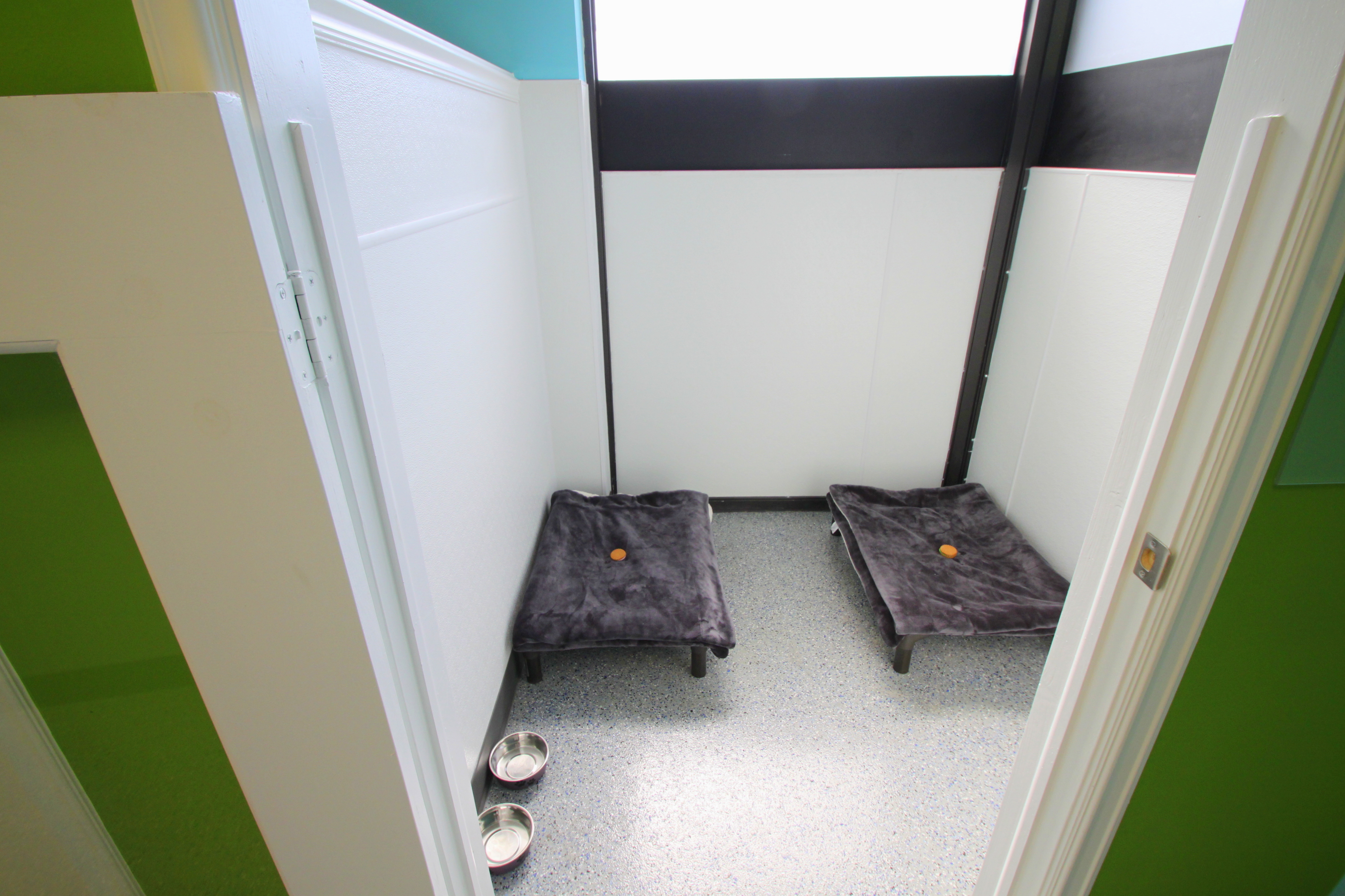 Virtual Tour The Ohana Pet Resort