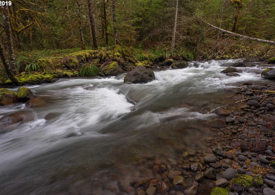 Oregon mountain cabin along the Zigzag River. Circa 1938. 299,800
