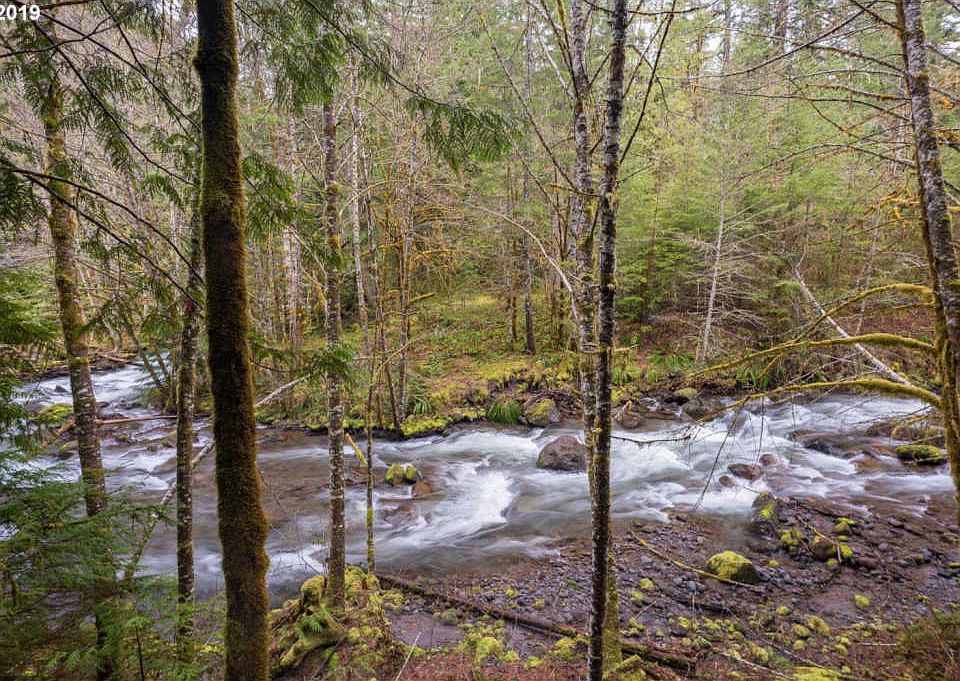 Oregon mountain cabin along the Zigzag River. Circa 1938. 299,800