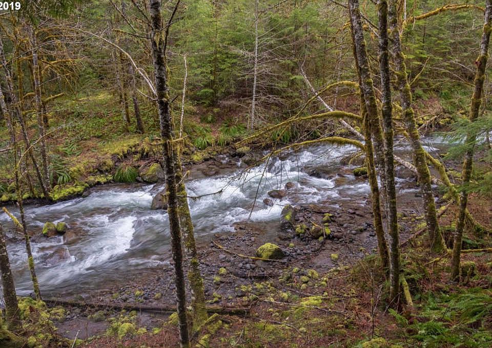 Oregon mountain cabin along the Zigzag River. Circa 1938. 299,800